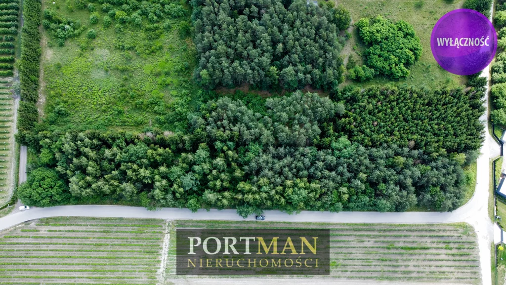 Działka 6 800,00 m², oferta nr , 3002/4857/OGS, Tarczyn