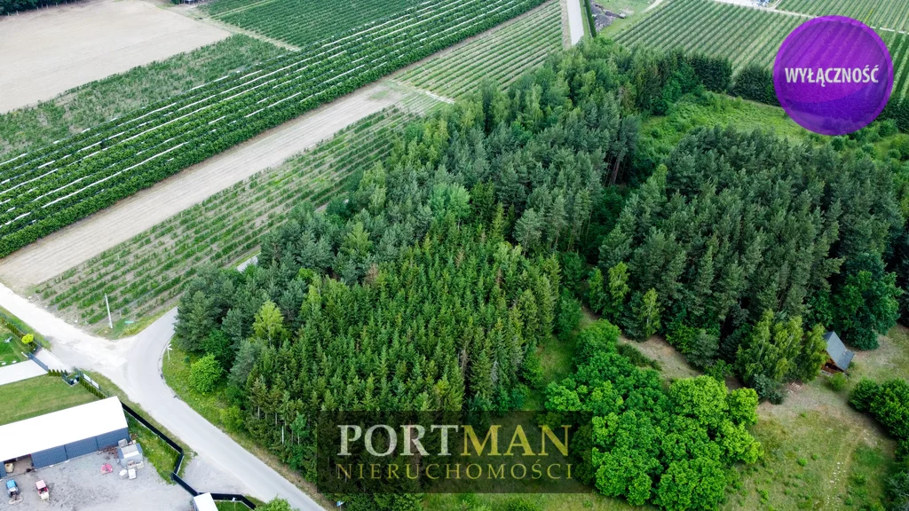 Działka 6 800,00 m², oferta nr , 3002/4857/OGS, Tarczyn