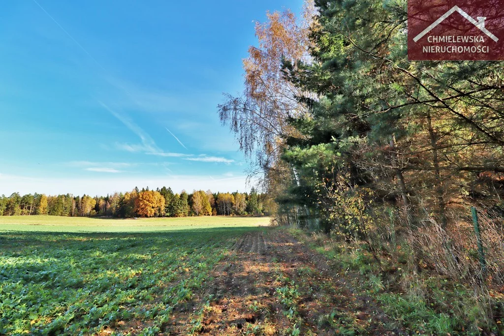 Działka 796,00 m², Borki, Sprzedaż