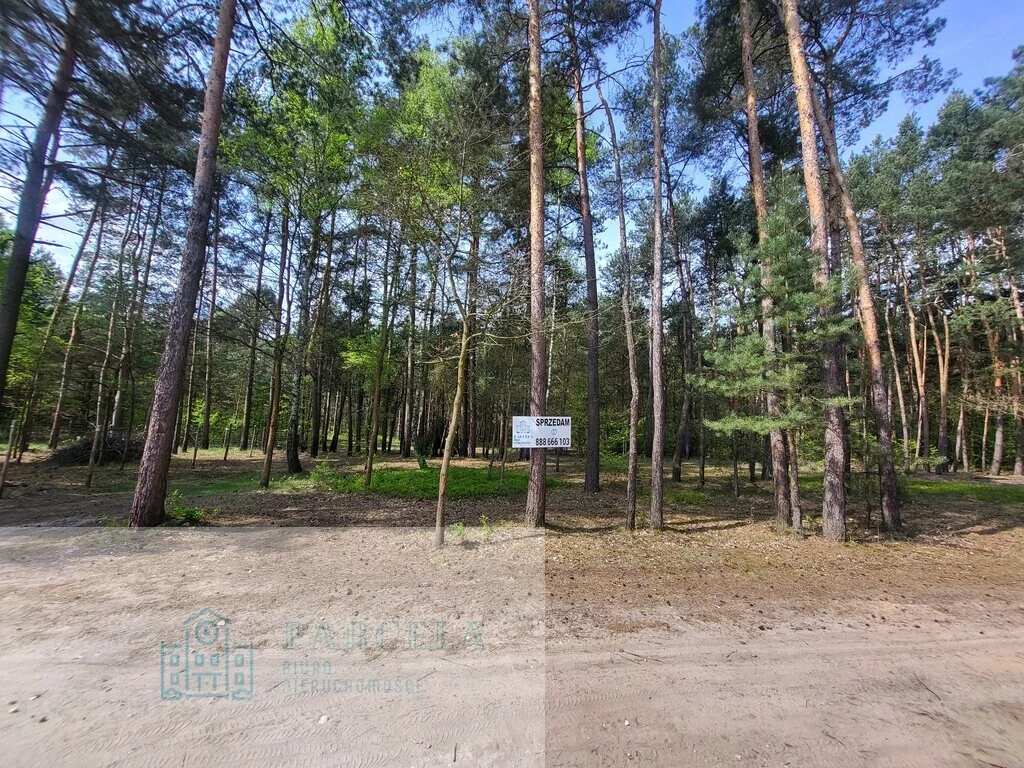 Apartamenty 9/16919/OGS Radomsko Przyjazna