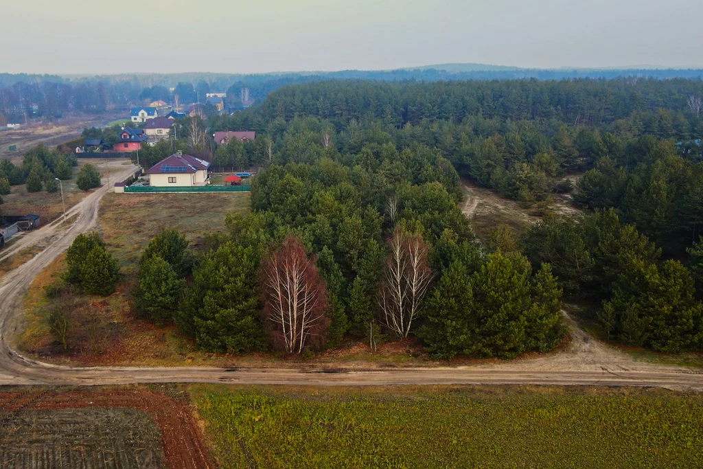 Działka 2 250,00 m², oferta nr , 878/2517/OGS, Adelin
