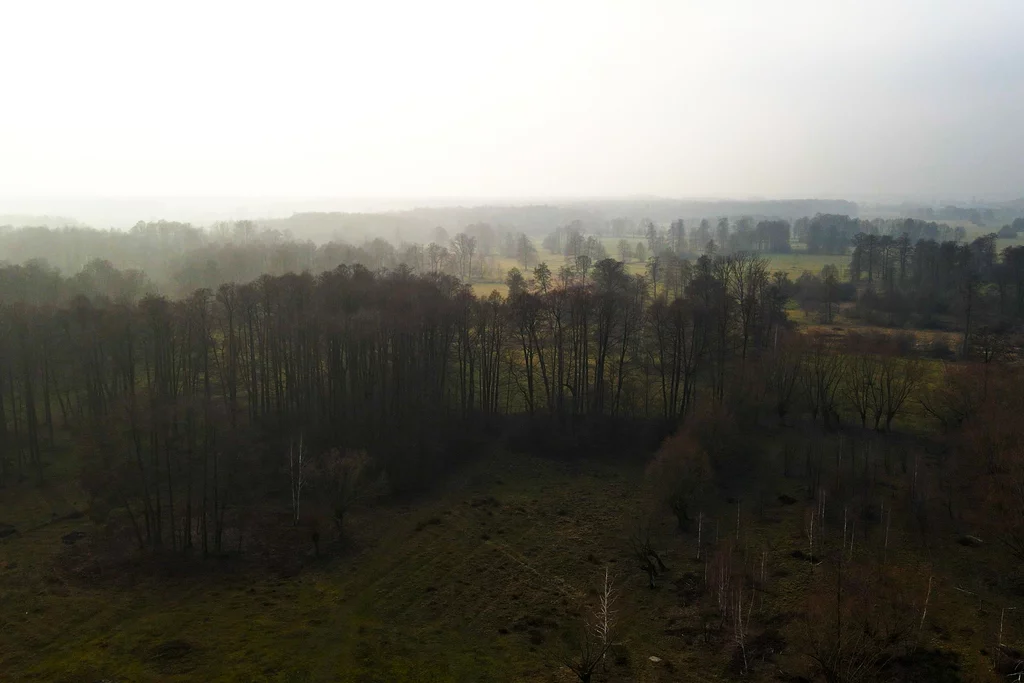 Działka 2 250,00 m², oferta nr , 878/2517/OGS, Adelin