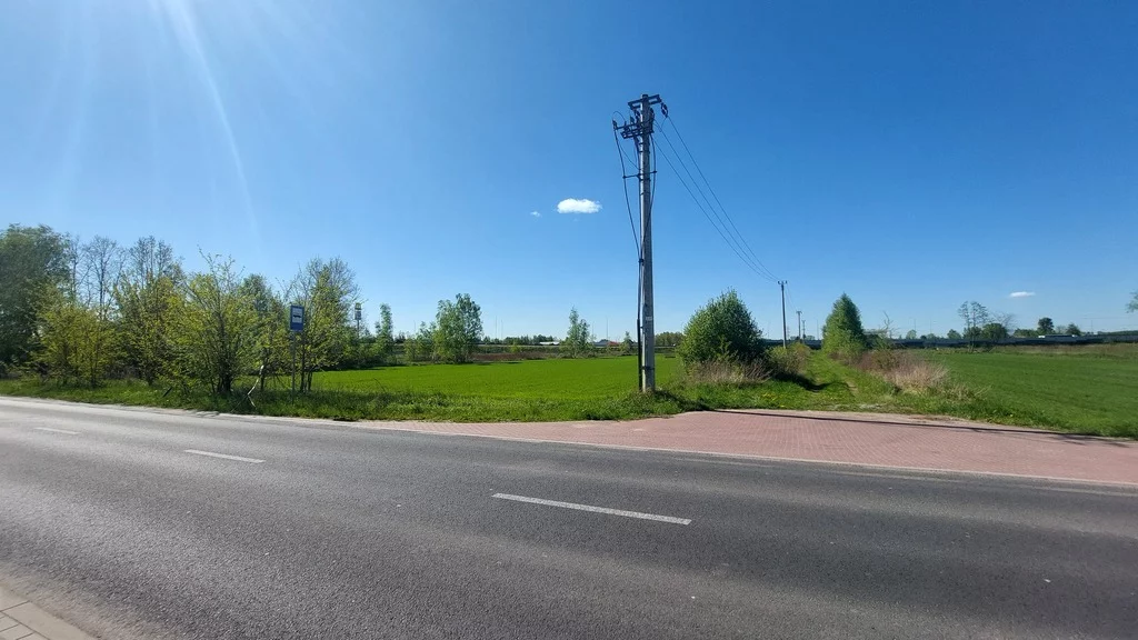 19/2517/OGW - zdjęcie nr 2