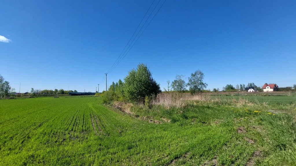 19/2517/OGW - zdjęcie nr 4