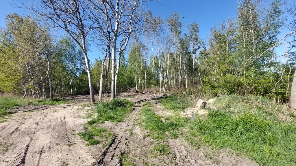 Działka 31 000,00 m², oferta nr , 20/2517/OGW, Dybów-Kolonia