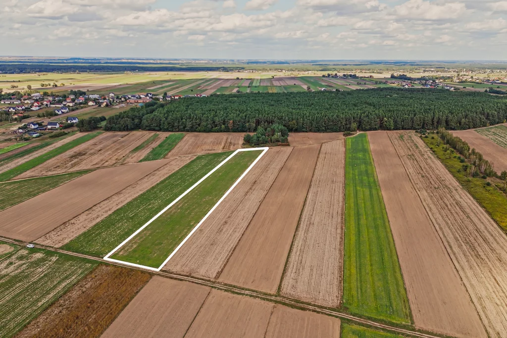 Działka 11 039,00 m², Emilianów, Sprzedaż