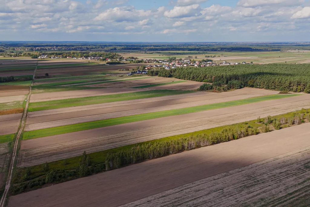 Działka na sprzedaż, 11 039,00 m², oferta nr 865/2517/OGS