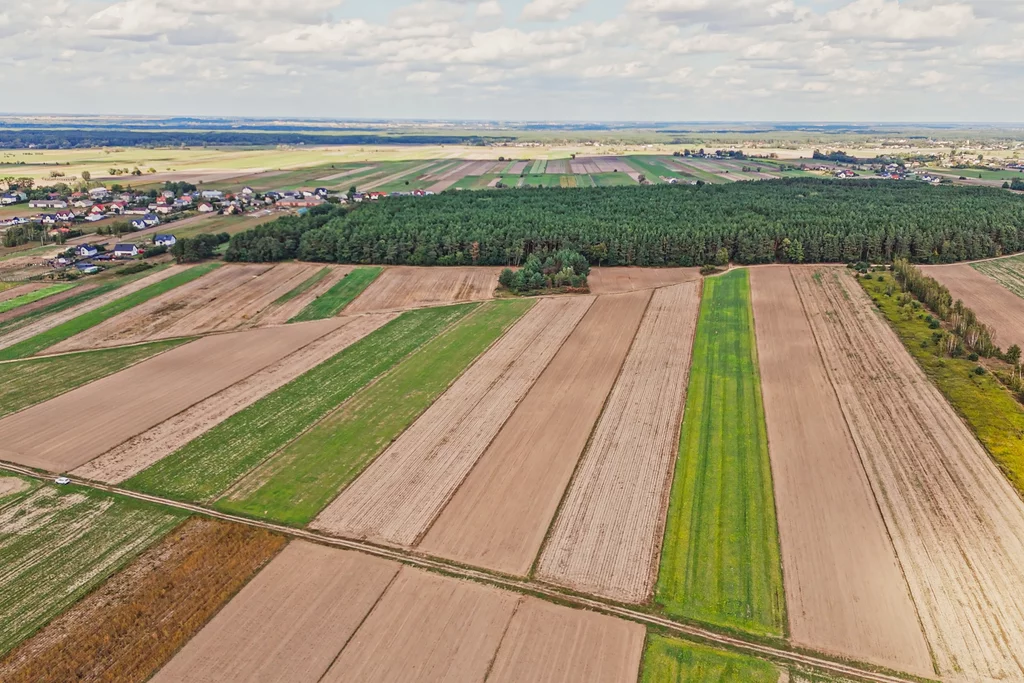 Działka 37 399,00 m², Emilianów, Sprzedaż