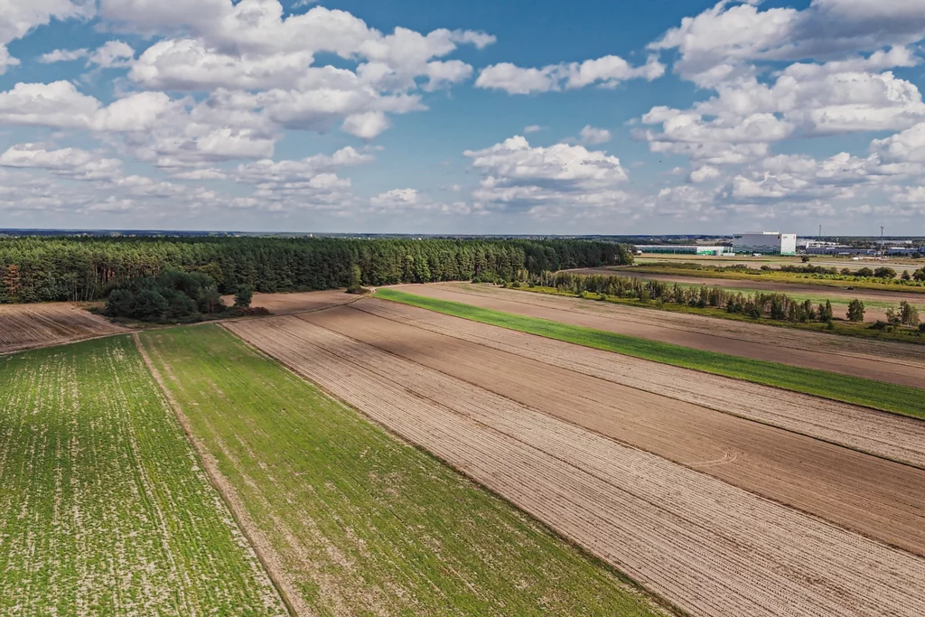 898/2517/OGS - zdjęcie nr 4
