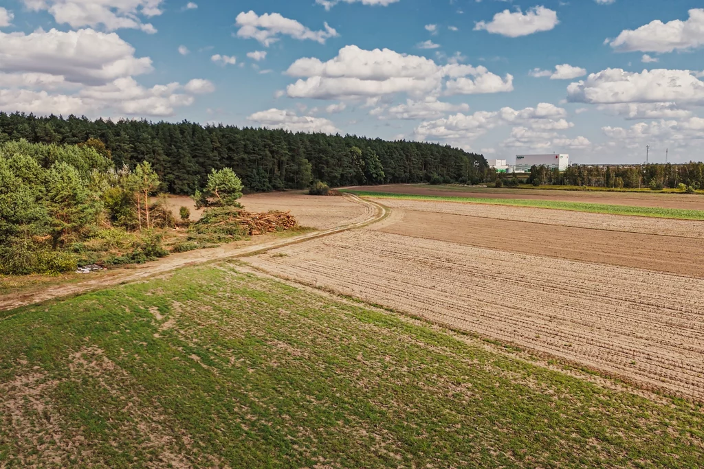 Działka 11 039,00 m², oferta nr , 898/2517/OGS, Emilianów