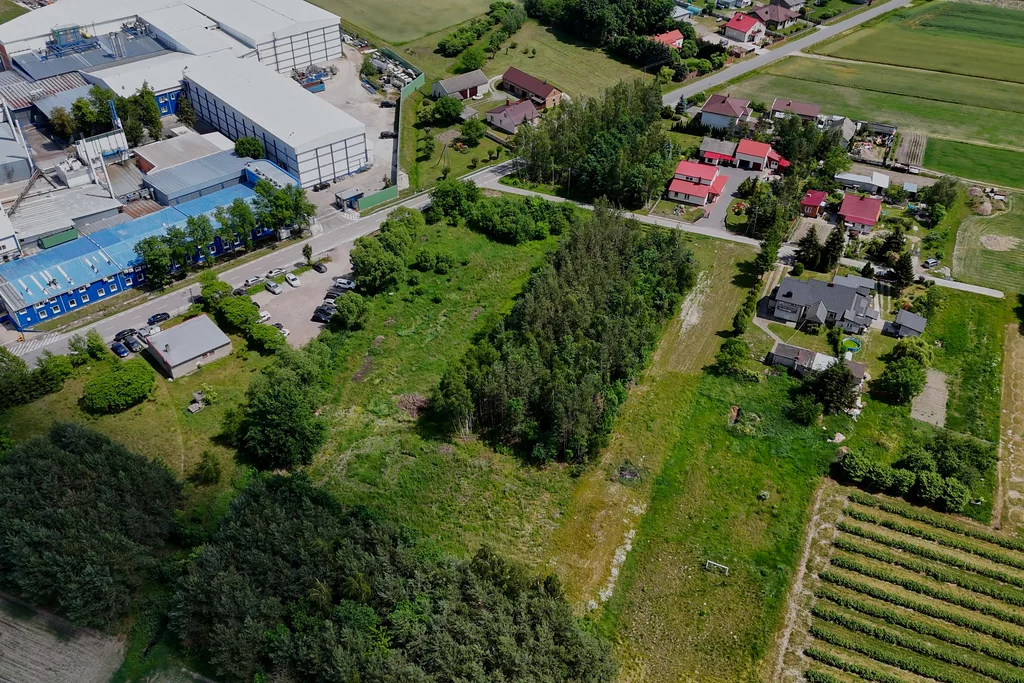 Działka 6 200,00 m², Mizerka, Sprzedaż