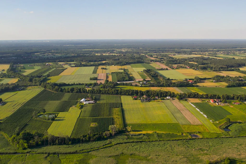 Działka 1 500,00 m², oferta nr , 854/2517/OGS, Nowe Paski