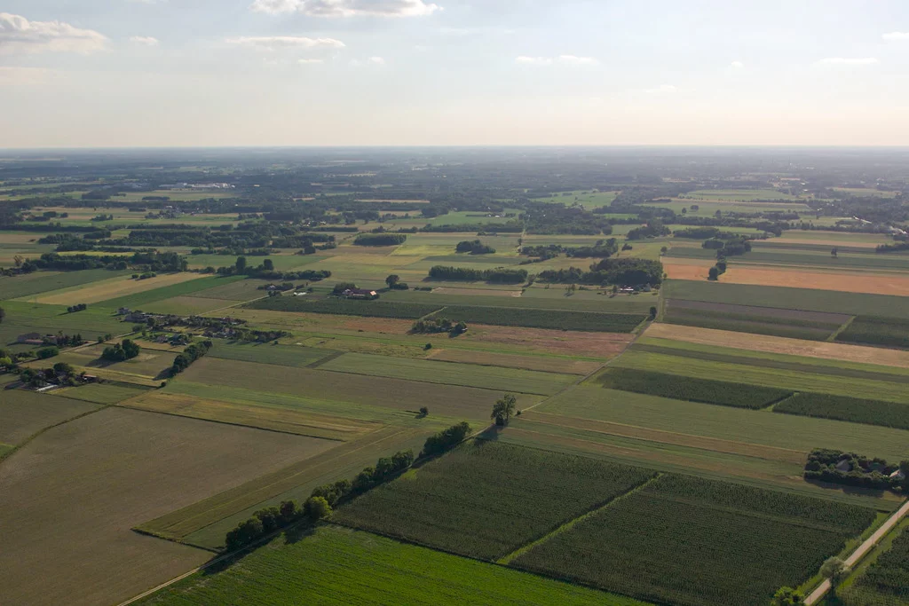 Działka 1 500,00 m², oferta nr , 854/2517/OGS, Nowe Paski