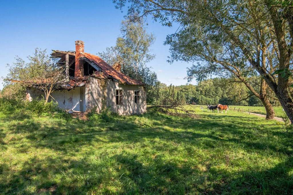 Działka 7 900,00 m², oferta nr , 892/2517/OGS, Targowo