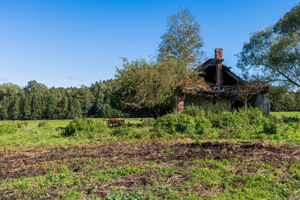 Działka 7 900,00 m², oferta nr , 892/2517/OGS, Targowo