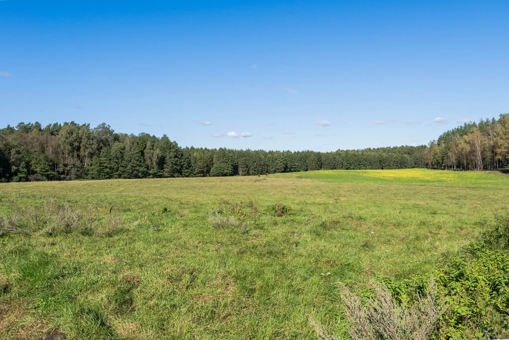 Działka 7 900,00 m², oferta nr , 892/2517/OGS, Targowo
