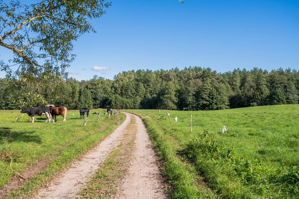 Działka 7 900,00 m², oferta nr , 892/2517/OGS, Targowo