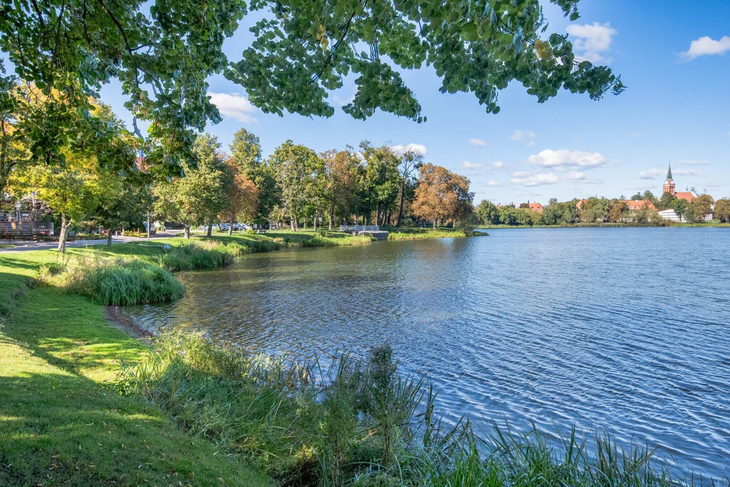 Działka 7 900,00 m², oferta nr , 892/2517/OGS, Targowo