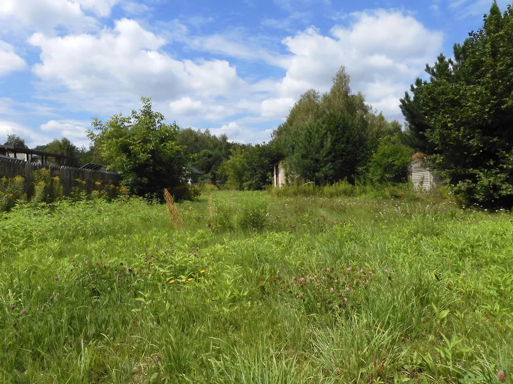 Działka 2 900,00 m², oferta nr , 902/2517/OGS, Trąbki