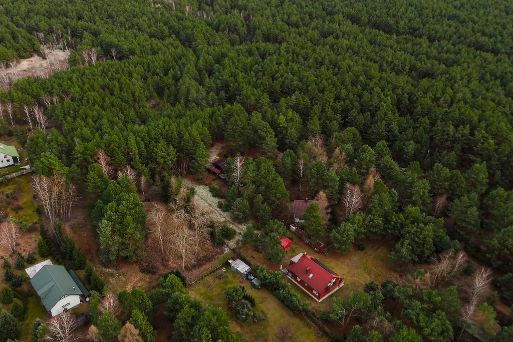 Działka 2 500,00 m², oferta nr , 856/2517/OGS, Zakrzew