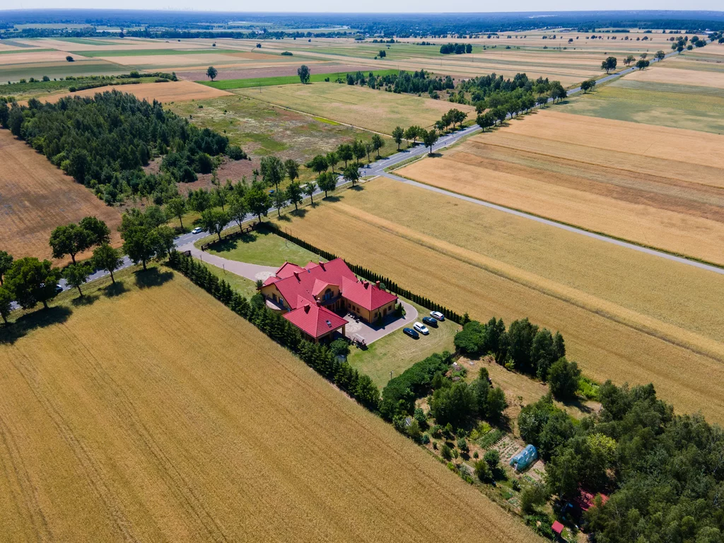 50/2517/OOS - zdjęcie nr 0