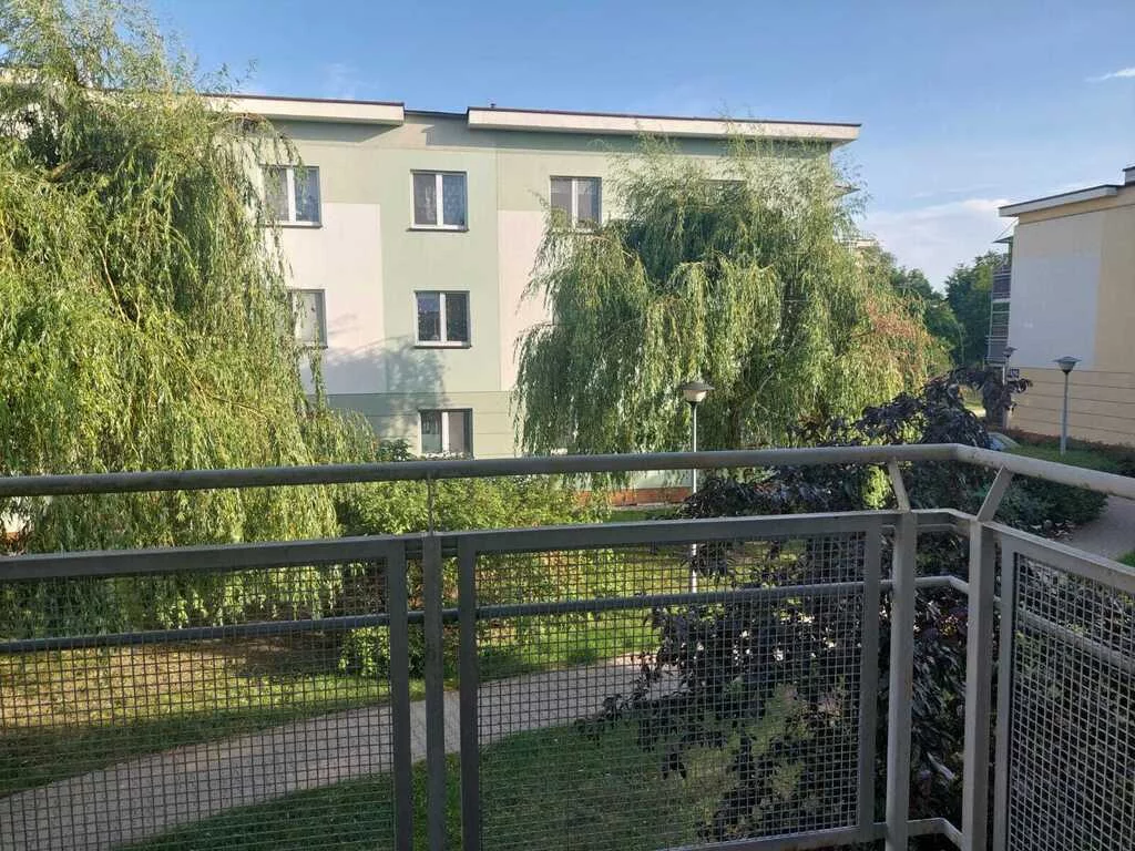 22875/2517/OMW - zdjęcie nr 2