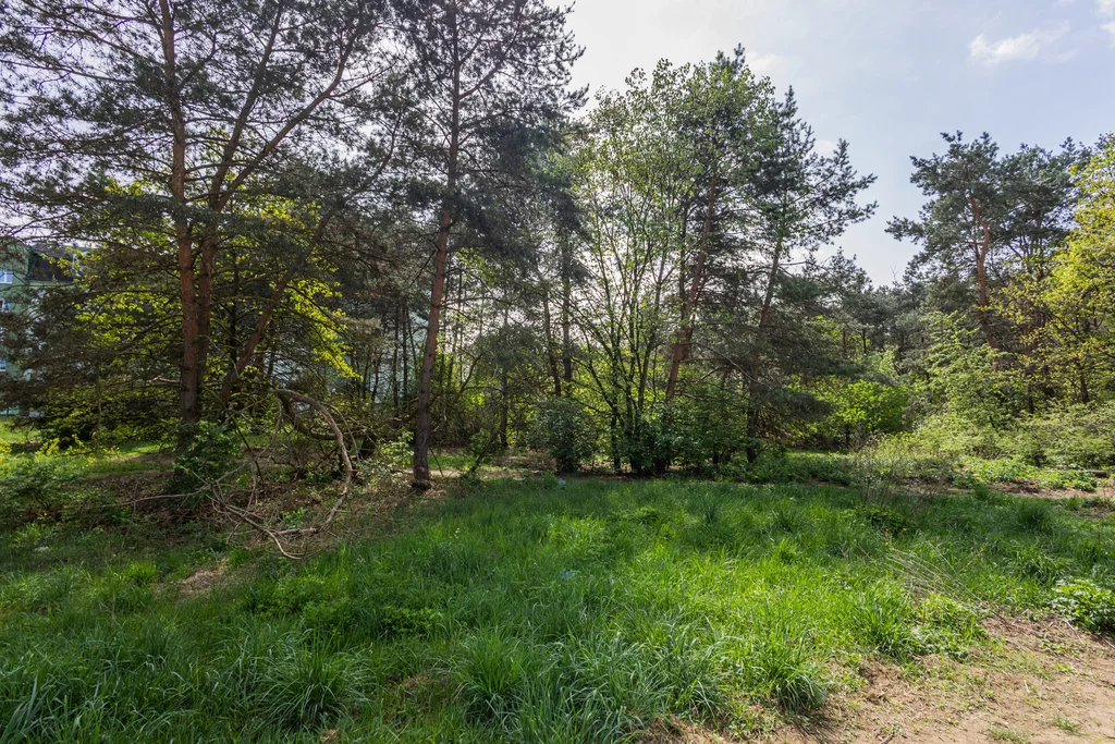 3 pokoje, mieszkanie 74,50 m², piętro 3, oferta nr , 53842/2517/OMS, Warszawa, Białołęka, Białołęka, Grzymalitów