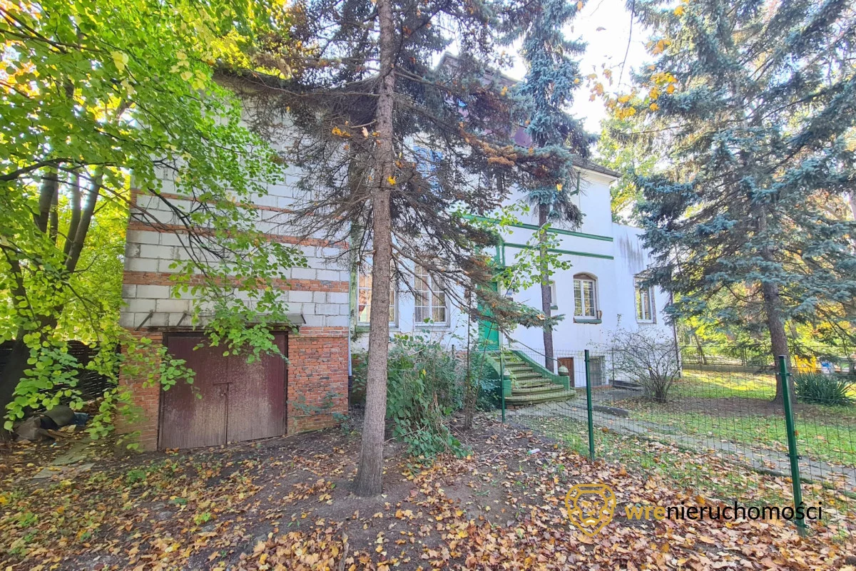 223972 - zdjęcie nr 1