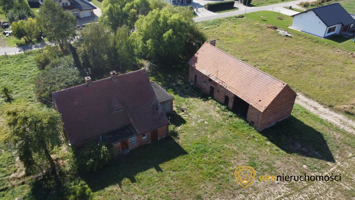 913052 - zdjęcie nr 4