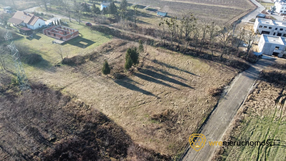 173558 - zdjęcie nr 1