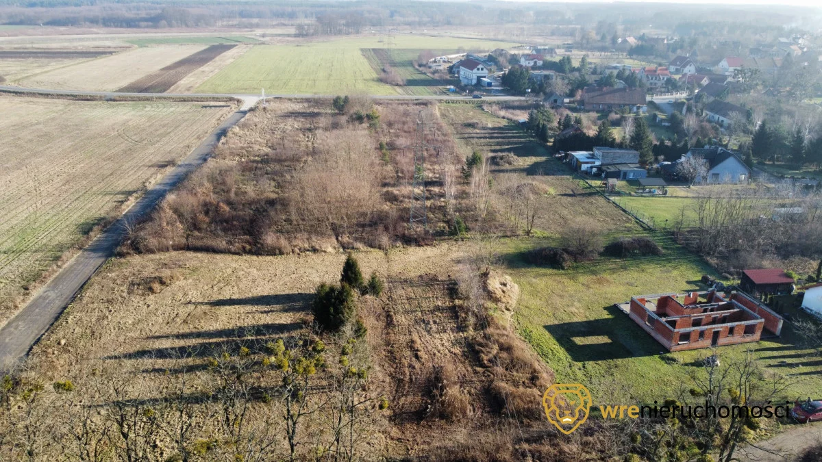 173558 - zdjęcie nr 3