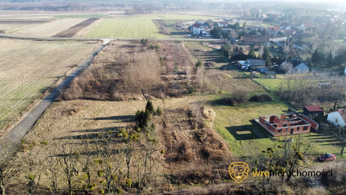 173558 - zdjęcie nr 4