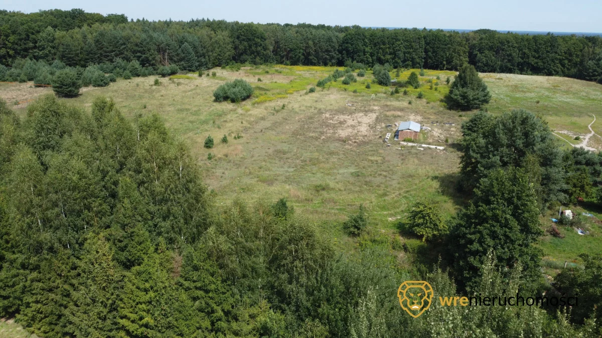 Działka 1 200,00 m², oferta nr , 491324, Dąbrowa