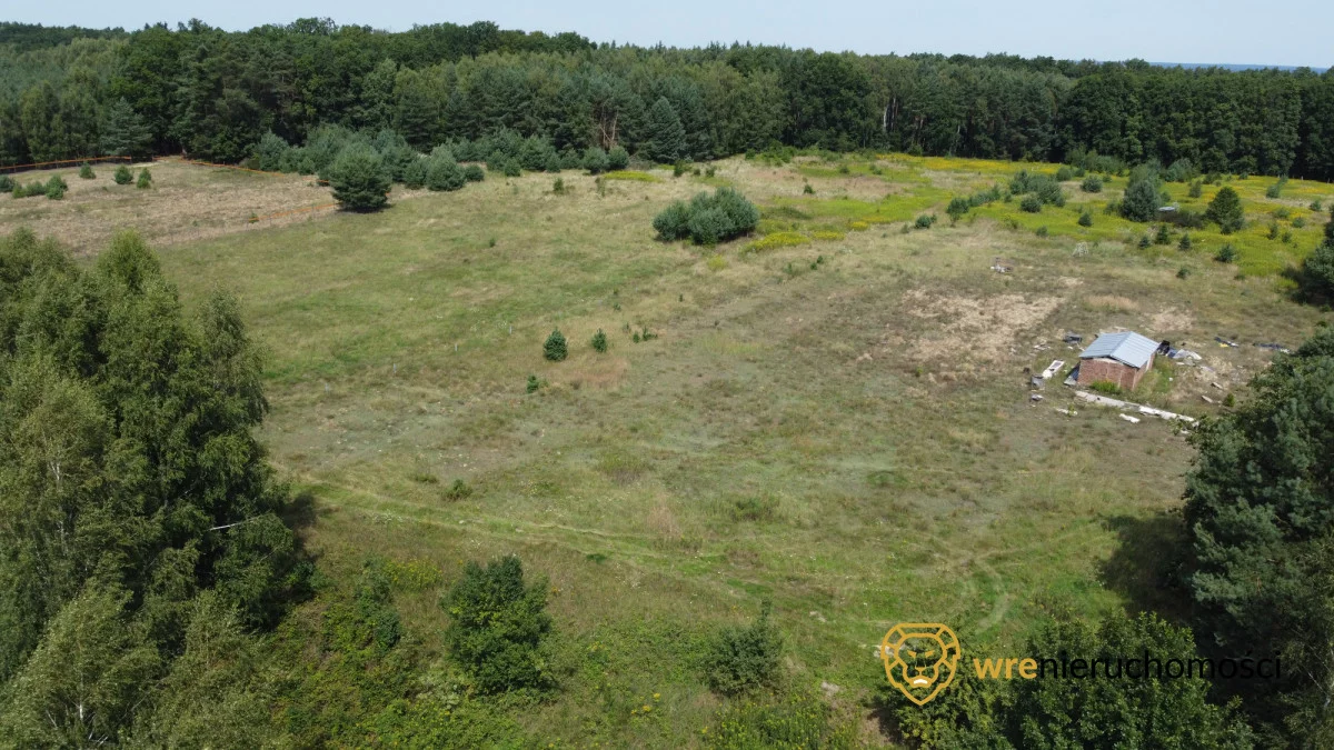 Działka 1 200,00 m², oferta nr , 979941, Dąbrowa
