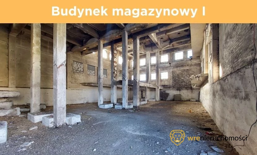 467995 - zdjęcie nr 0