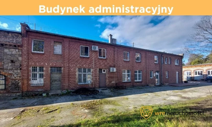 831119 - zdjęcie nr 4
