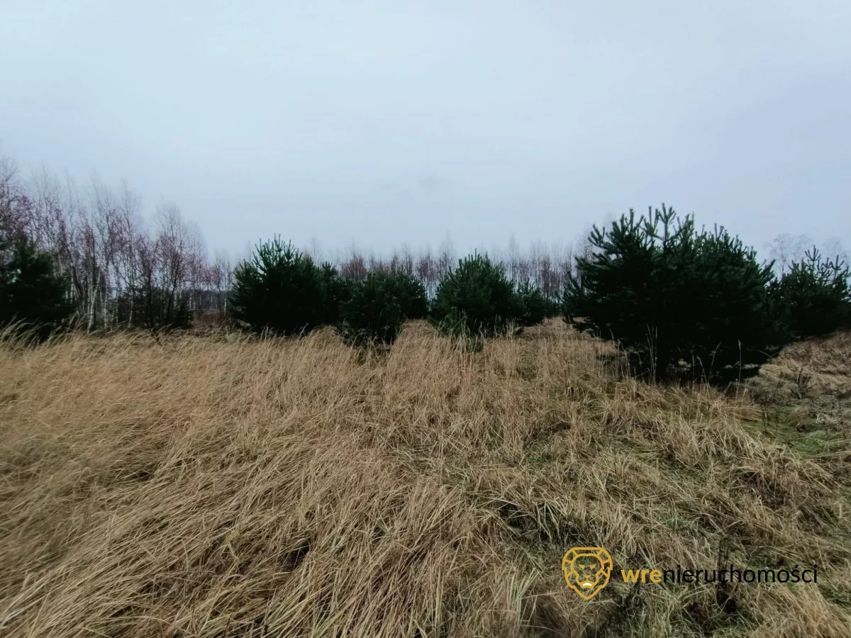 Działka 1 473,00 m², oferta nr , 532991, Drołtowice