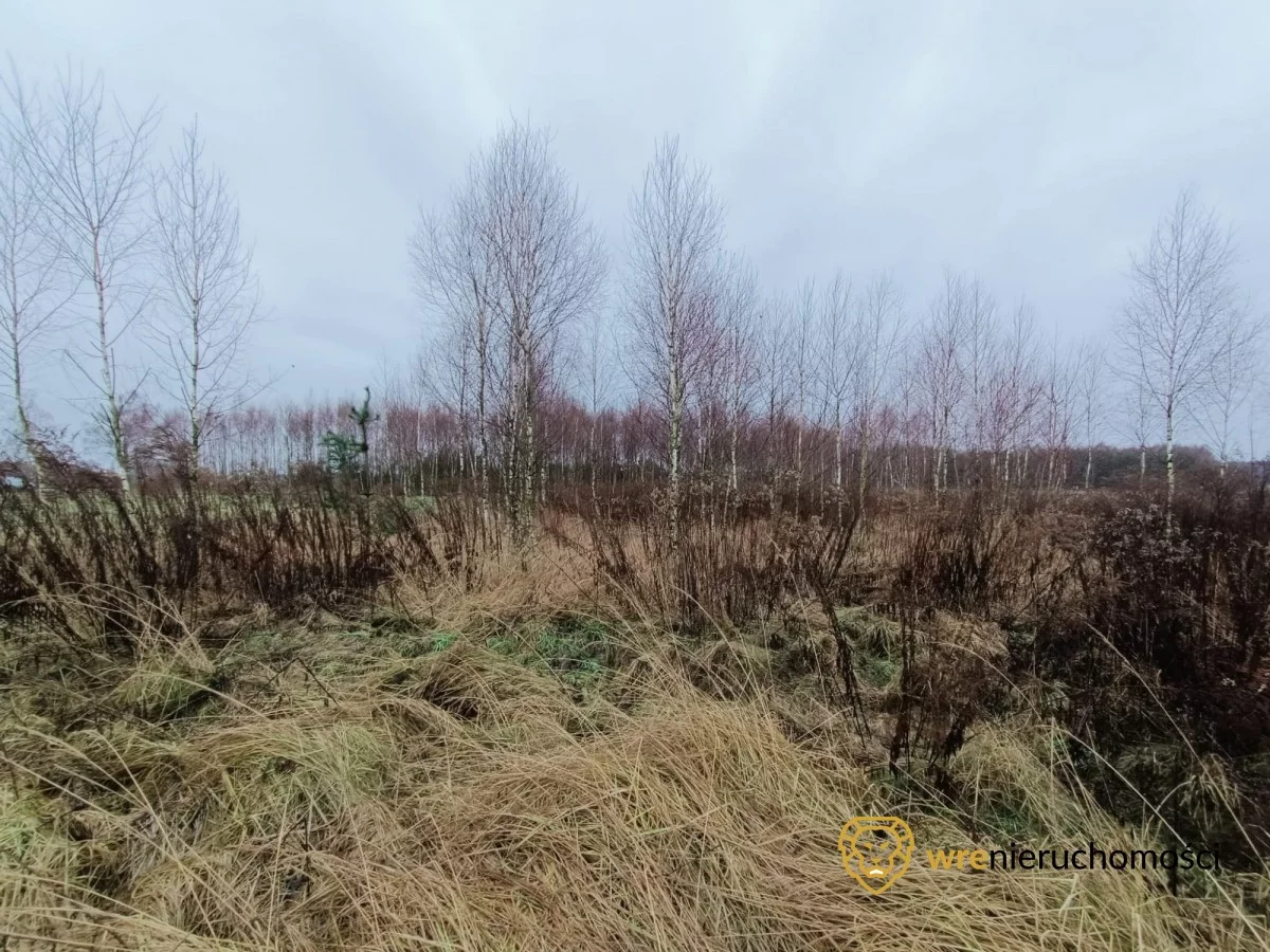 Działka 1 473,00 m², oferta nr , 532991, Drołtowice