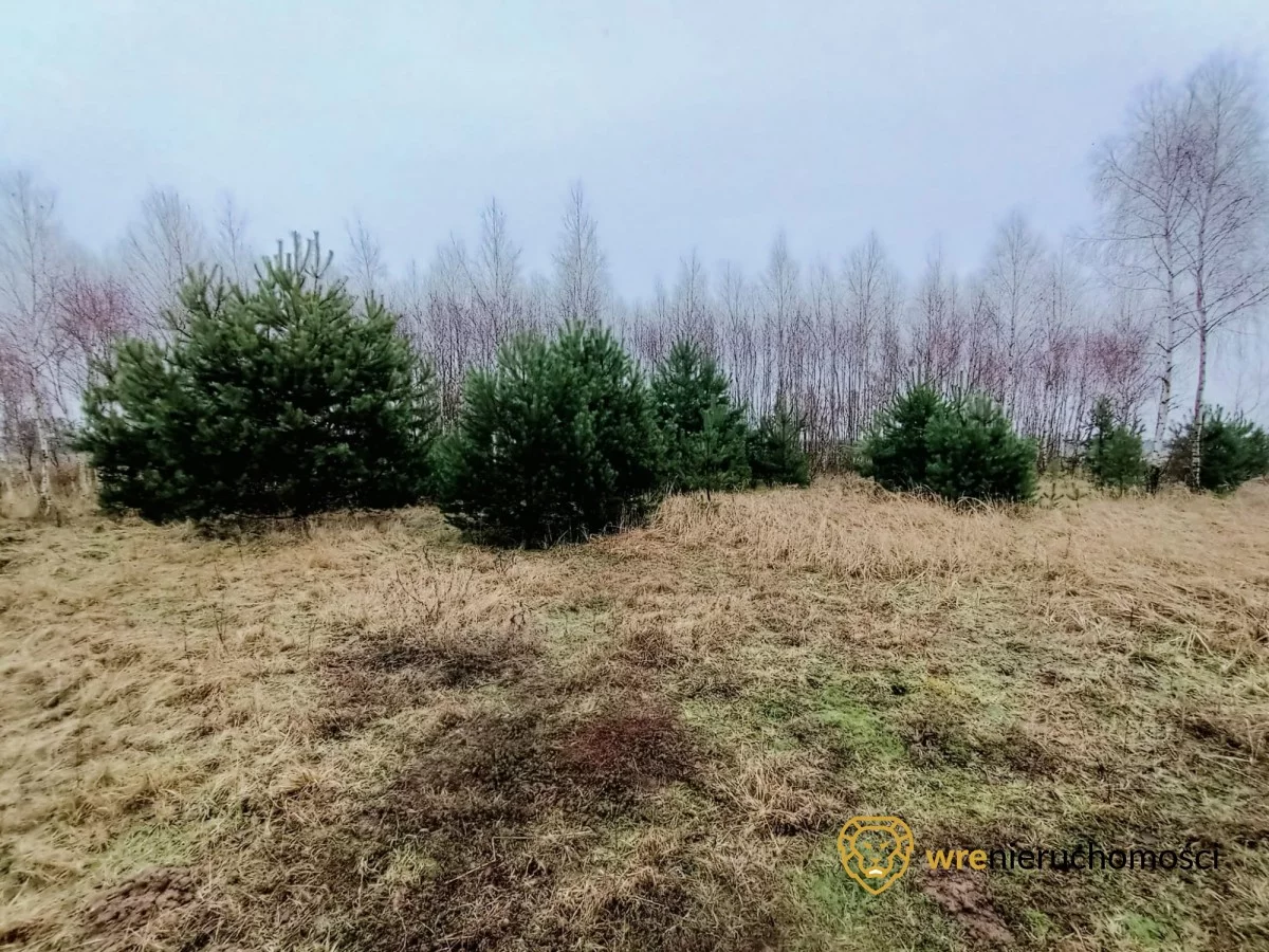 Działka 1 473,00 m², oferta nr , 532991, Drołtowice