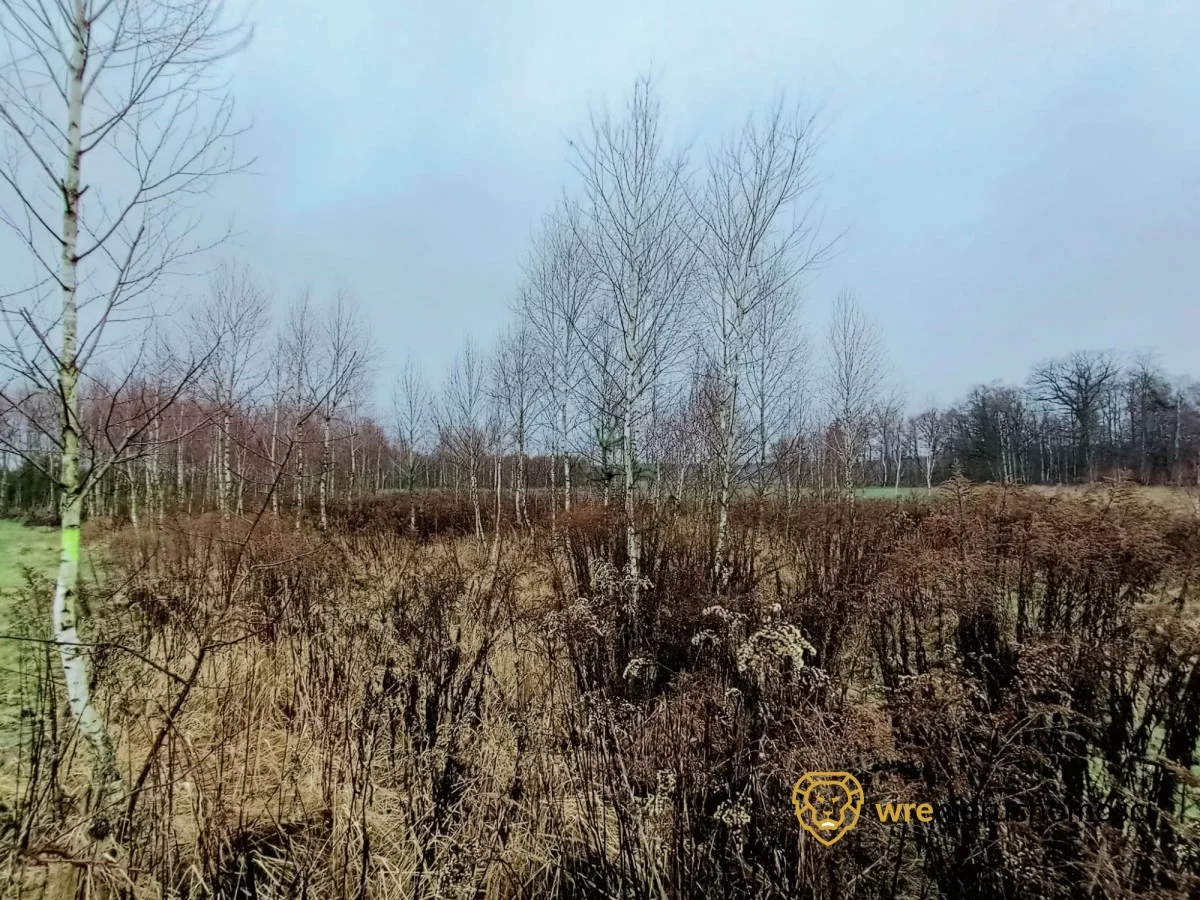 Działka 1 473,00 m², oferta nr , 532991, Drołtowice