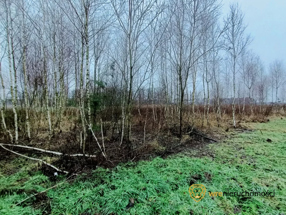 Działka 1 473,00 m², oferta nr , 532991, Drołtowice