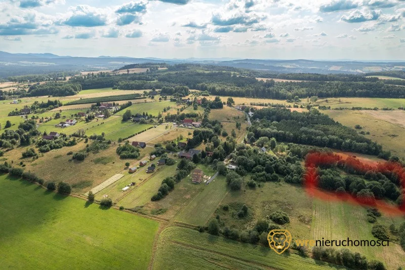 653487 - zdjęcie nr 4