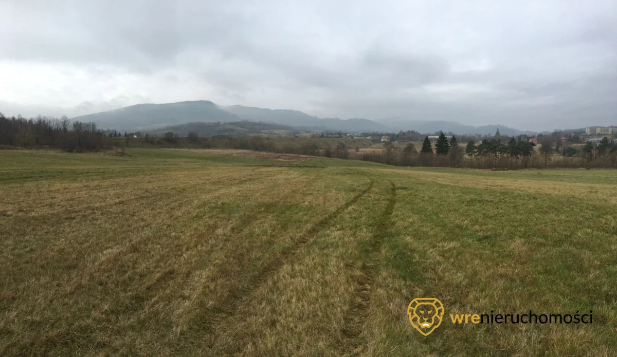 Działka 25 000,00 m², oferta nr , 582239, Głuszyca