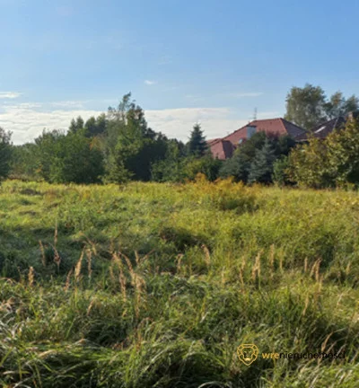 274348 - zdjęcie nr 2