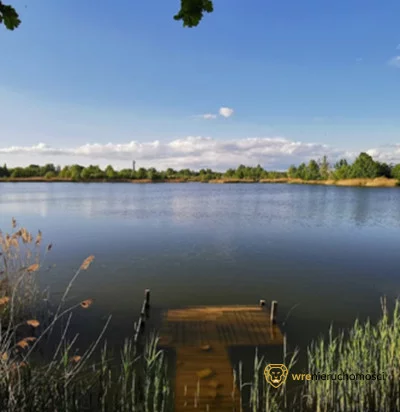 Działka 1 779,00 m², oferta nr , 601436, Wrocław, Jerzmanowo-Jarnołtów-Strachowice-Osiniec, Strachowice, Graniczna