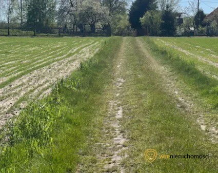 Działka 10 000,00 m², oferta nr , 424169642, Grędzina
