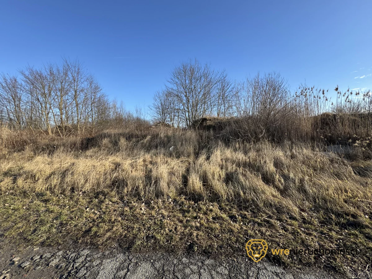 679383 - zdjęcie nr 0