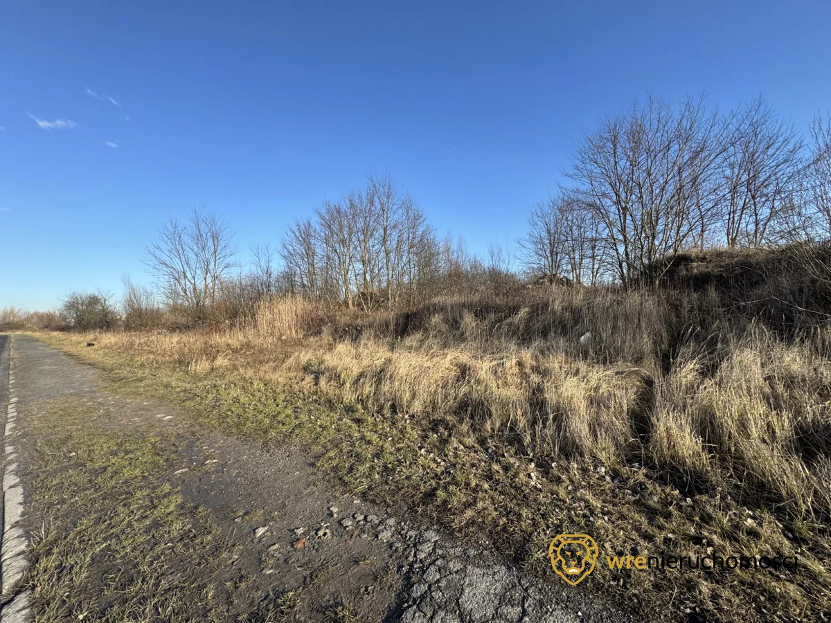679383 - zdjęcie nr 4