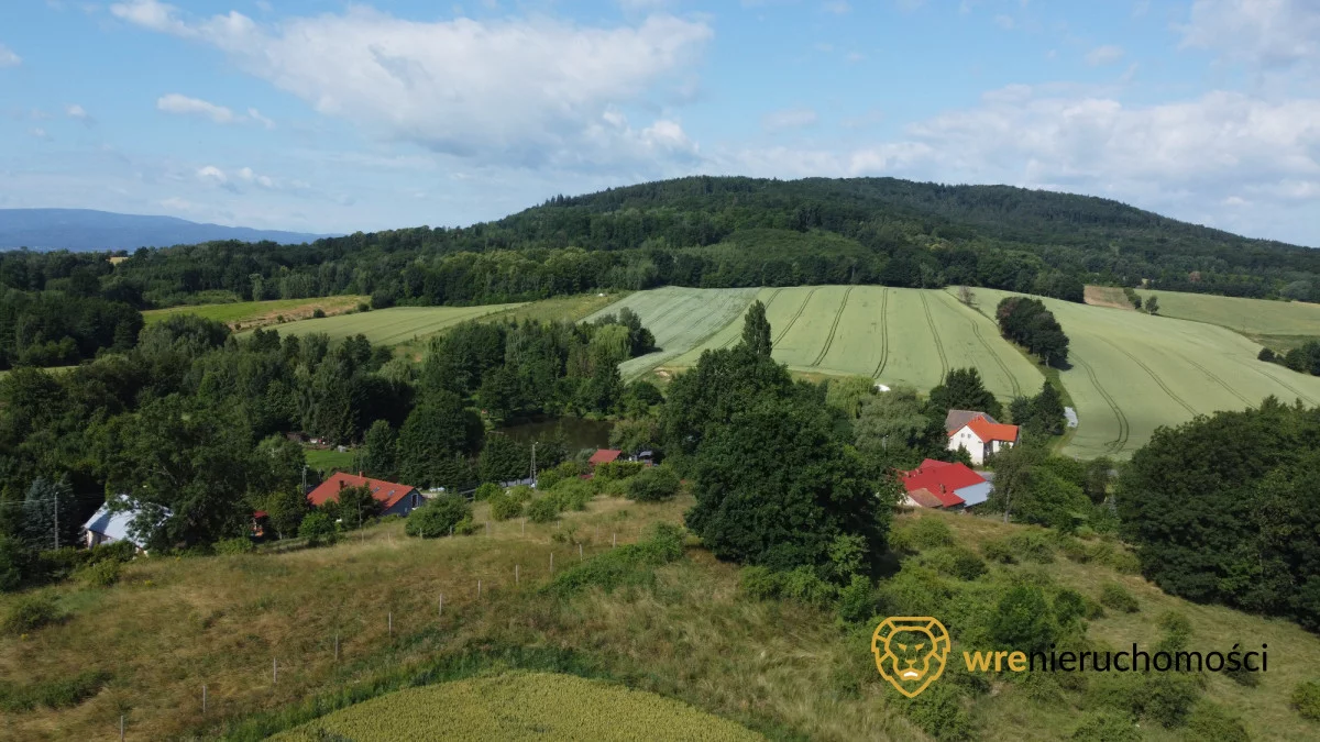Działka 6 243,00 m², oferta nr , 637552, Jędrzejowice