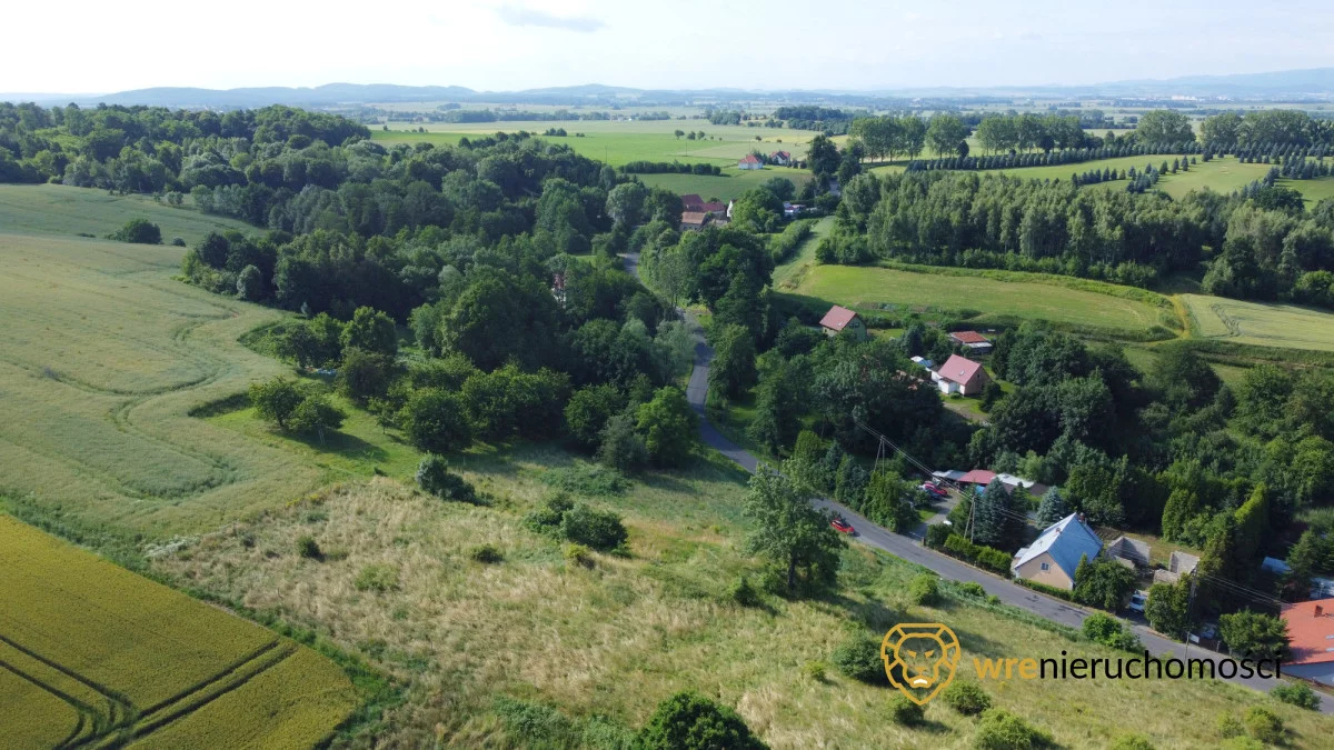 Działka 6 243,00 m², oferta nr , 637552, Jędrzejowice